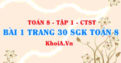 Bài 1 trang 30 SGK Toán 8 Tập 1 Chân trời sáng tạo